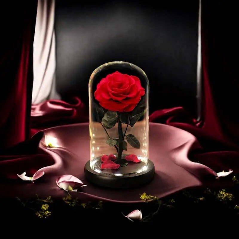 Elegant red rose in a glass dome with LED lighting, perfect decor for home or a romantic gift.