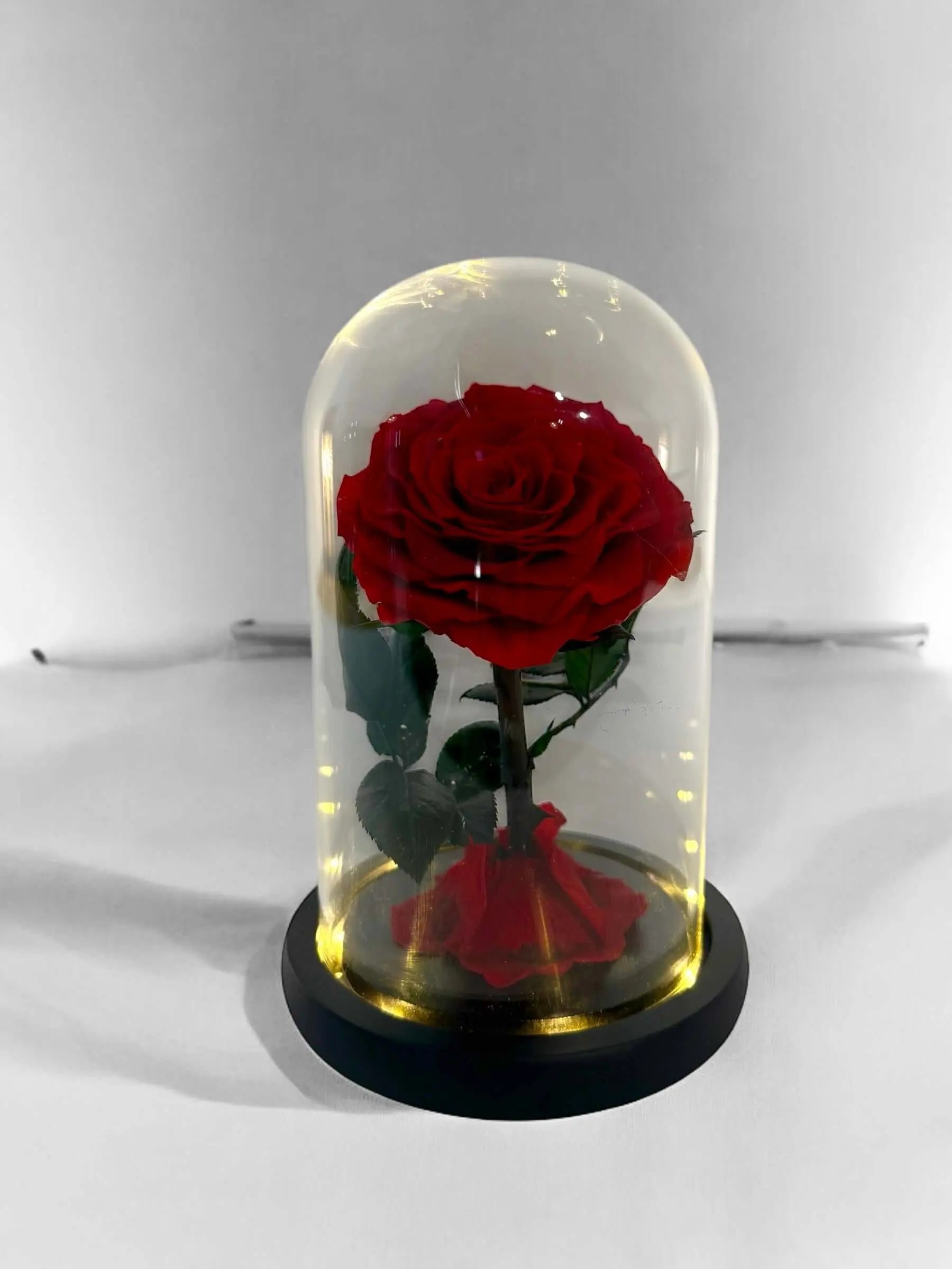 Elegant red rose in a glass dome with LED lights, perfect for home decor or as a gift for loved ones.