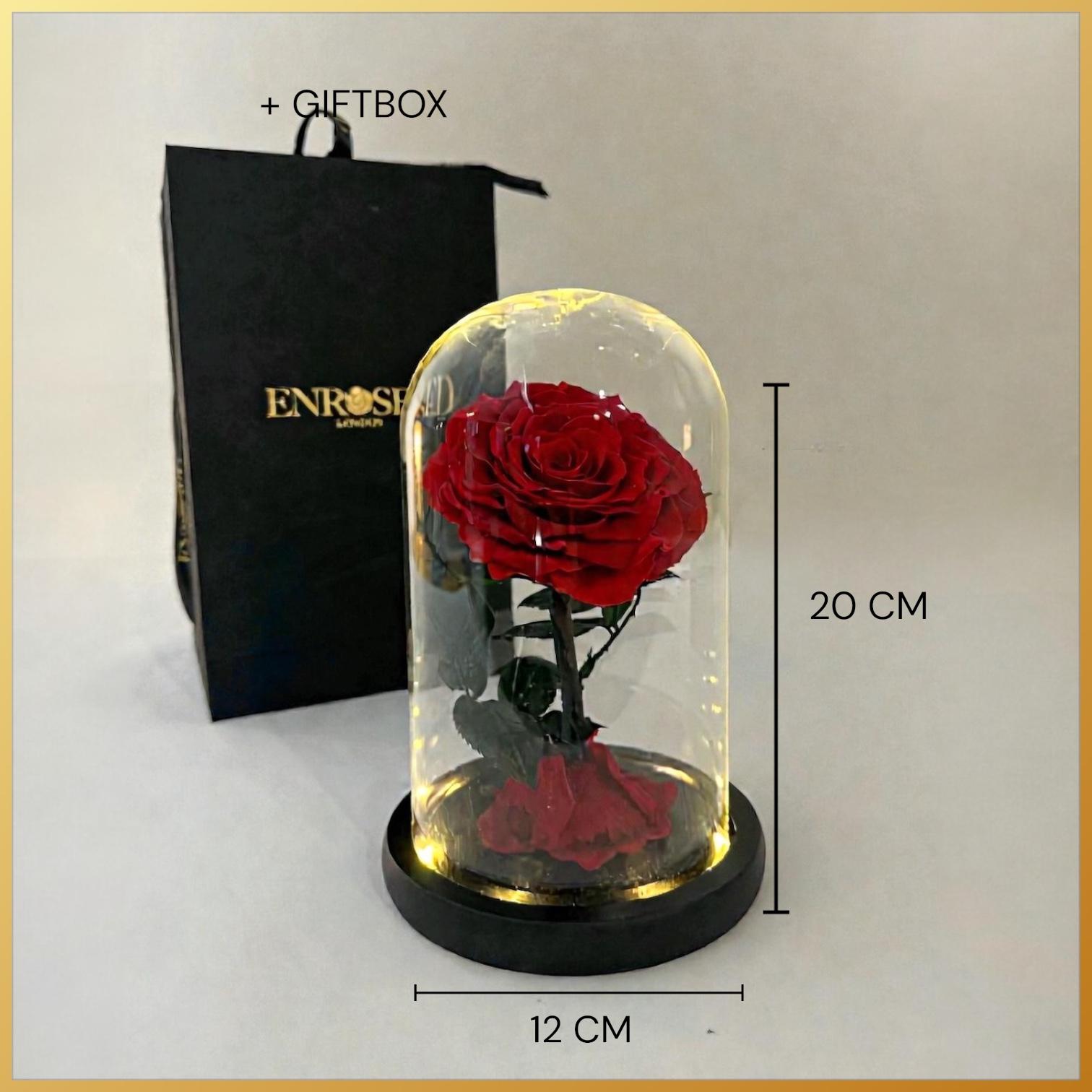 Kleine single elegantie