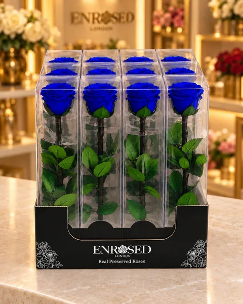 12 rosas preservadas de tallo extralargo en cajas individuales con expositor — 12 rosas preservadas de tallo extralargo en cajas individuales con expositor · Azul marino