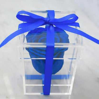 Preserved rose in plexibox