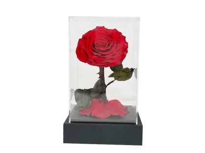 Elegance Flower Cube.