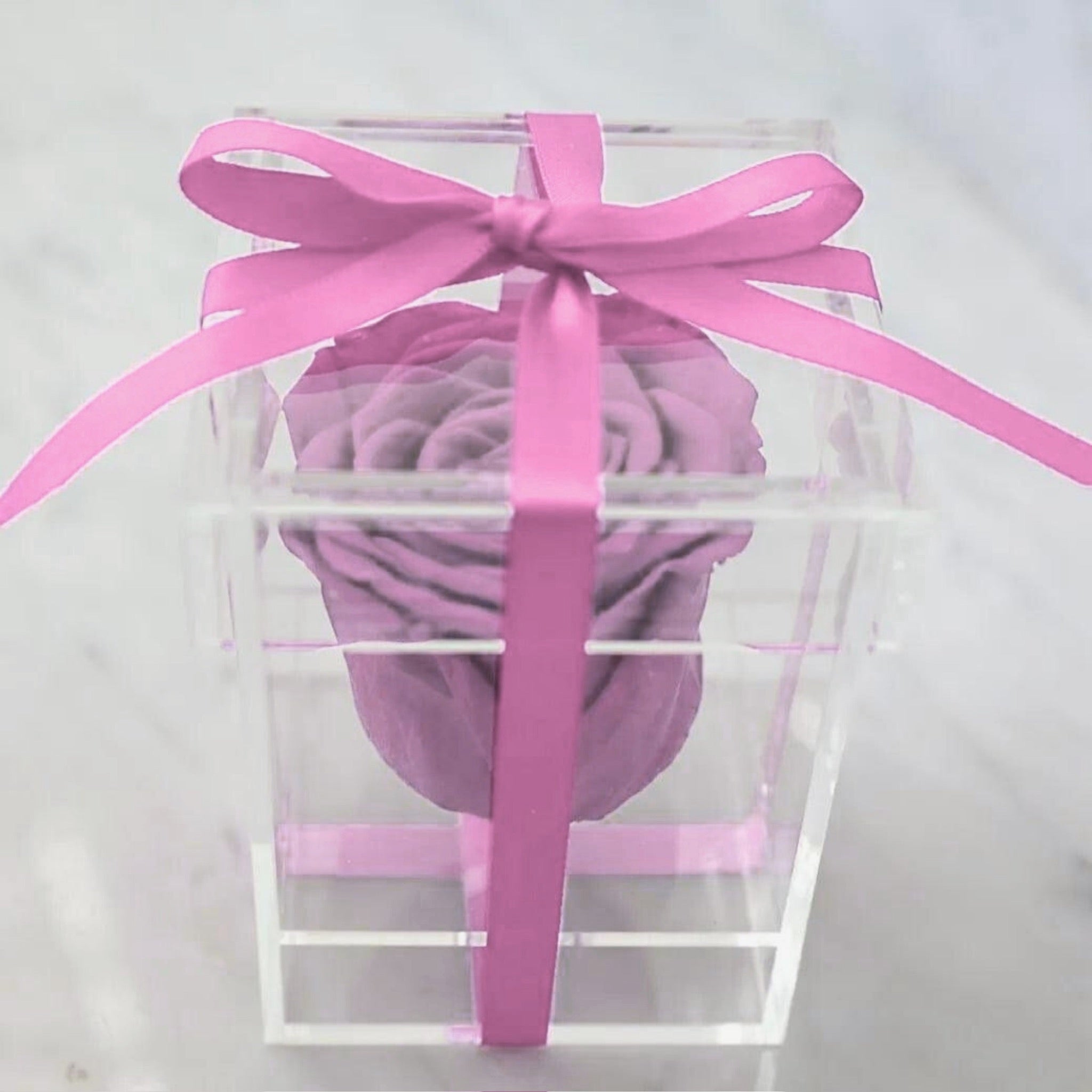 Preserved rose in plexibox