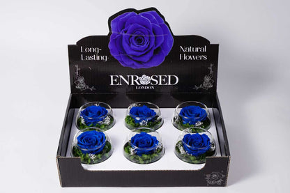 Bowl Rozen XL met Display