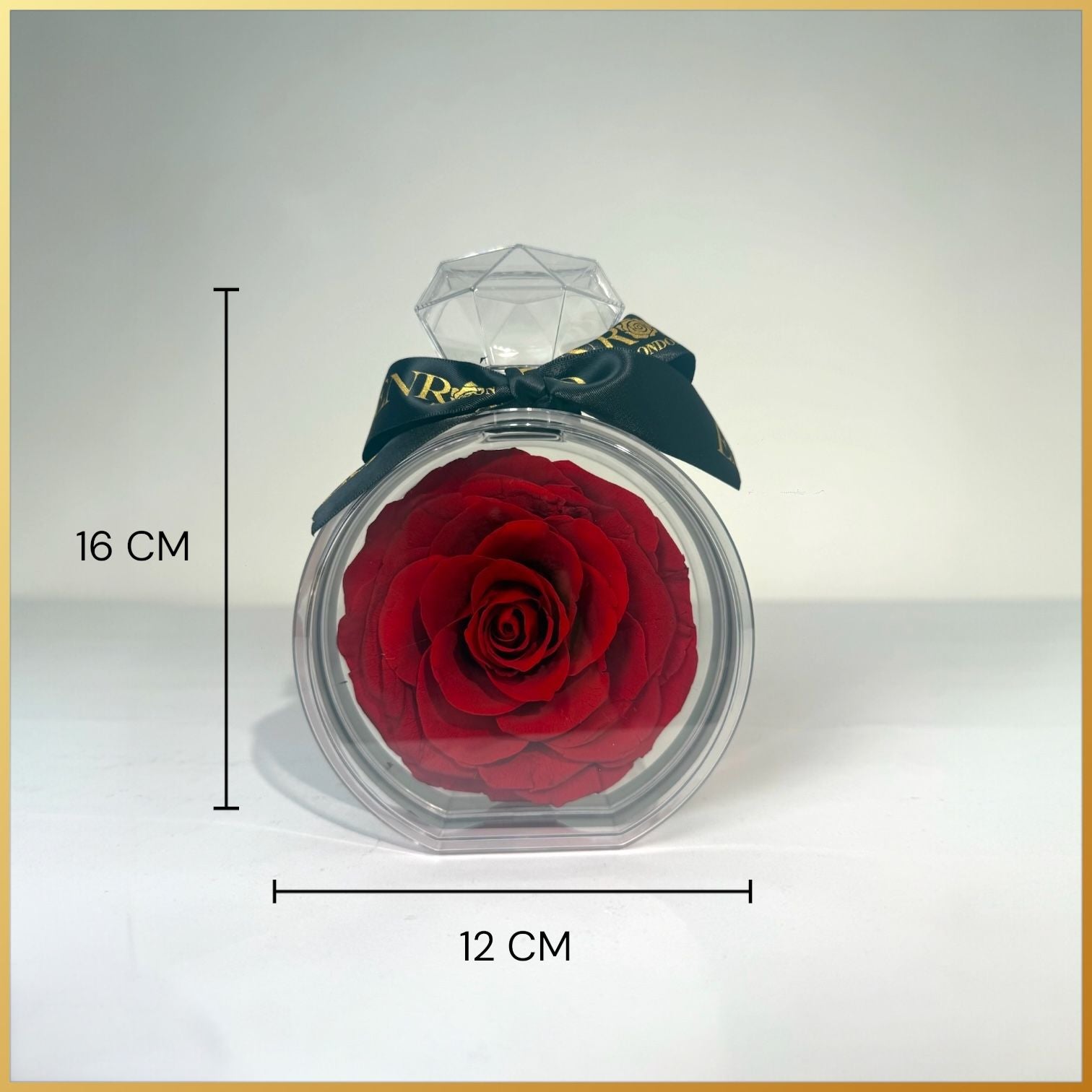 Geconserveerde Roos in XL diamant