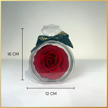 Geconserveerde Roos in XL diamant