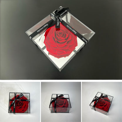 Rose on mirror box