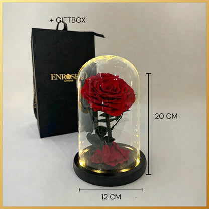 Kleine single elegantie