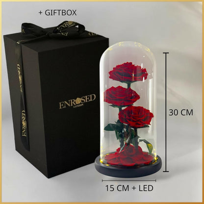 Triple Elegance Grandi