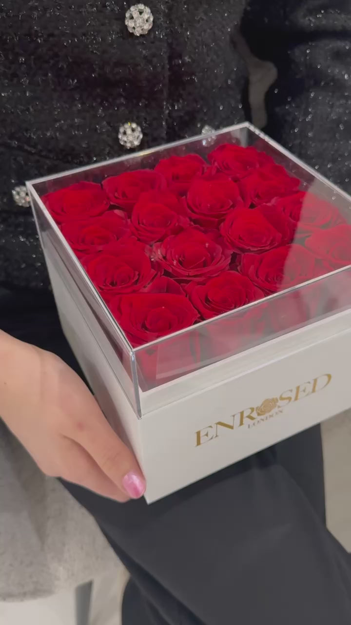 rose in box